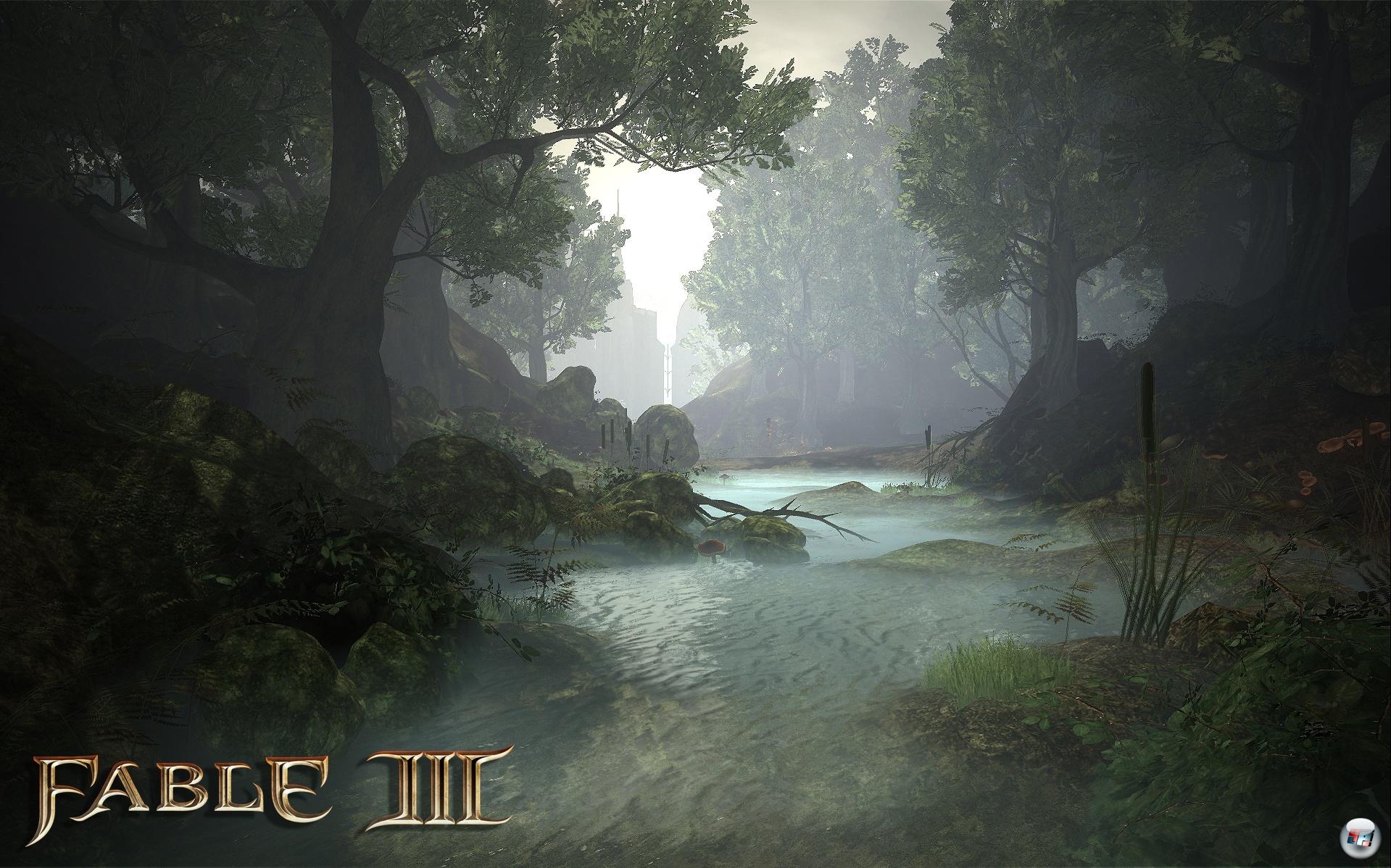 Auf potenten PCs hat Albion gegen&uuml;ber der 360-Version visuell einige Detail-Verbesserungen zu bieten.