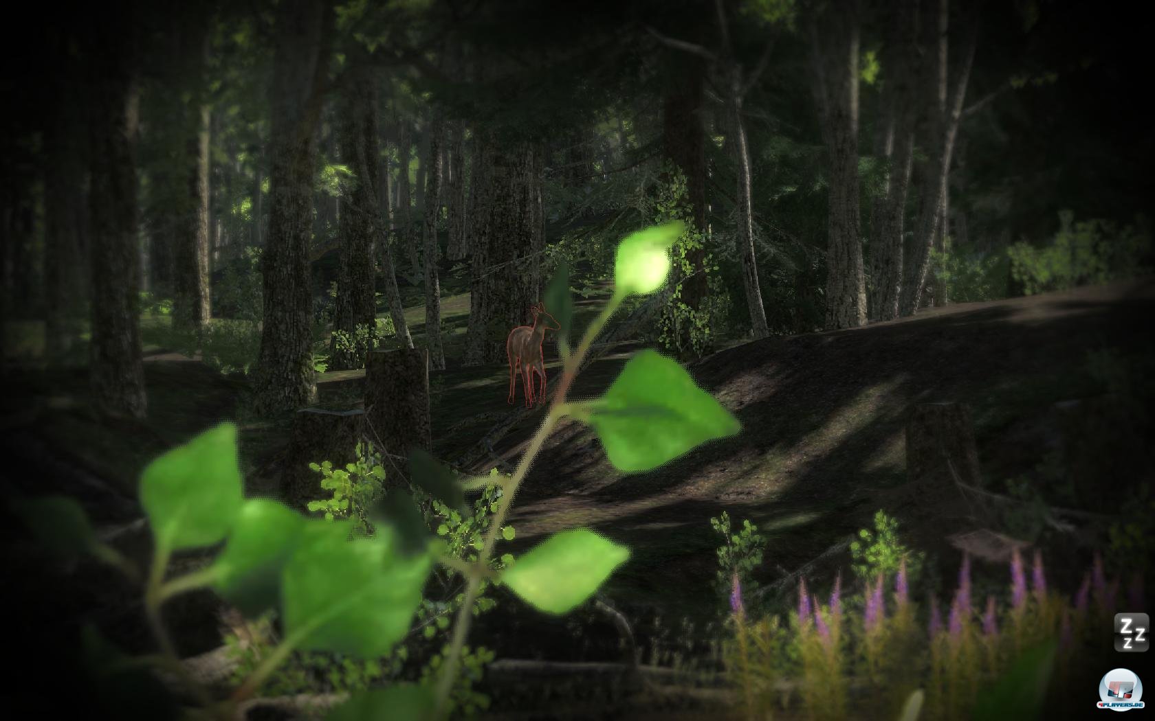 Das Fernglas ist eine große Hilfe beim Erspähen der Beute. Das Fernglas ist eine große Hilfe beim Erspähen der Beute.