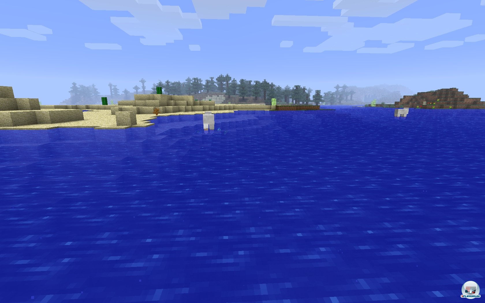 Dorthin f&uuml;hrt mein Weg. Dem Ruf des Waldes wollte ich nicht widerstehen.