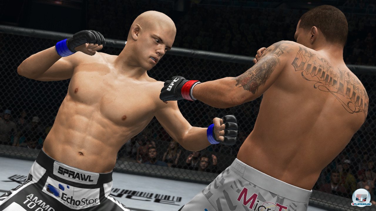 Mit 150 K&auml;mpfern aus sieben Gewichtsklassen wird Abwechslung geboten.