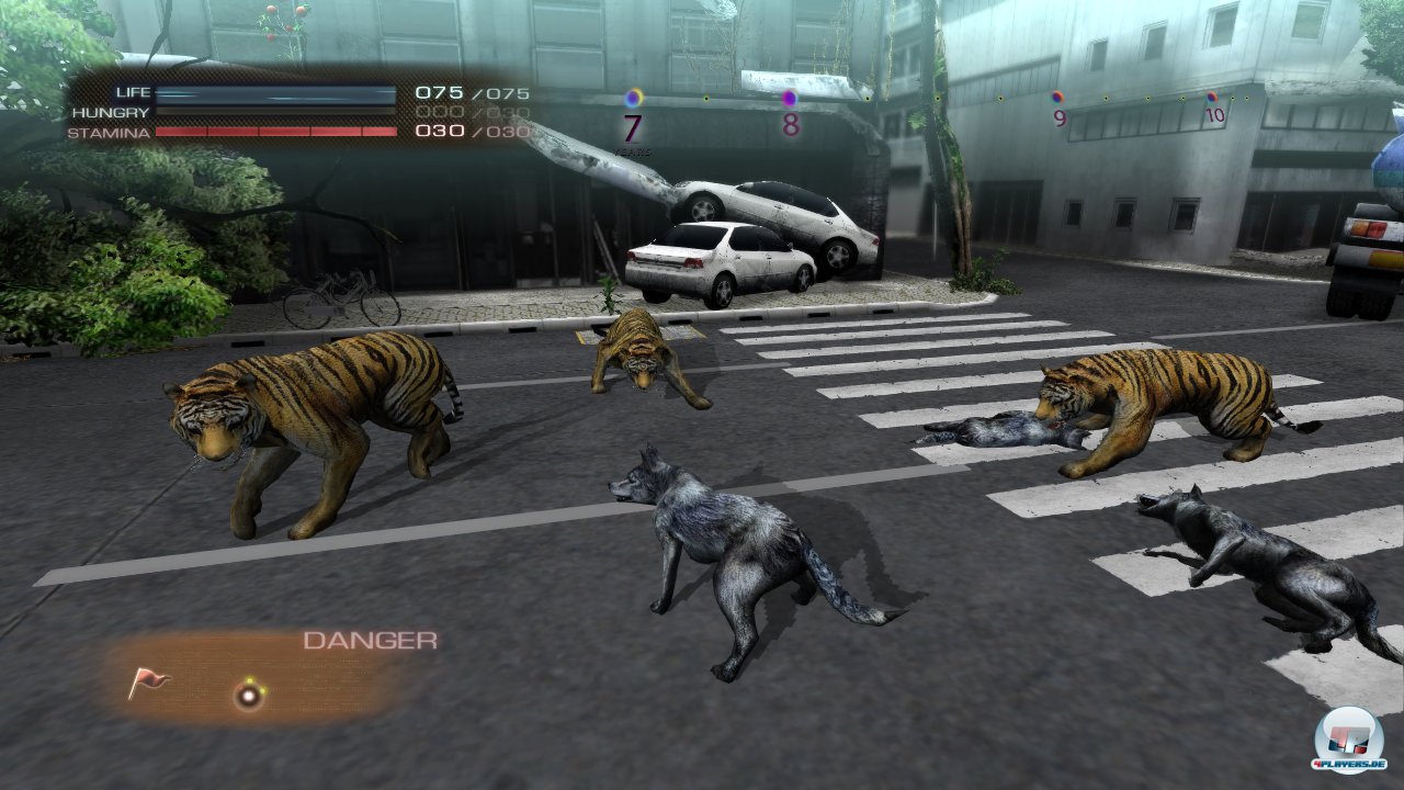 Vor einer Runde entscheidet man sich f&uuml;r ein Raubtier oder einen schleichenden Pflanzenfresser.