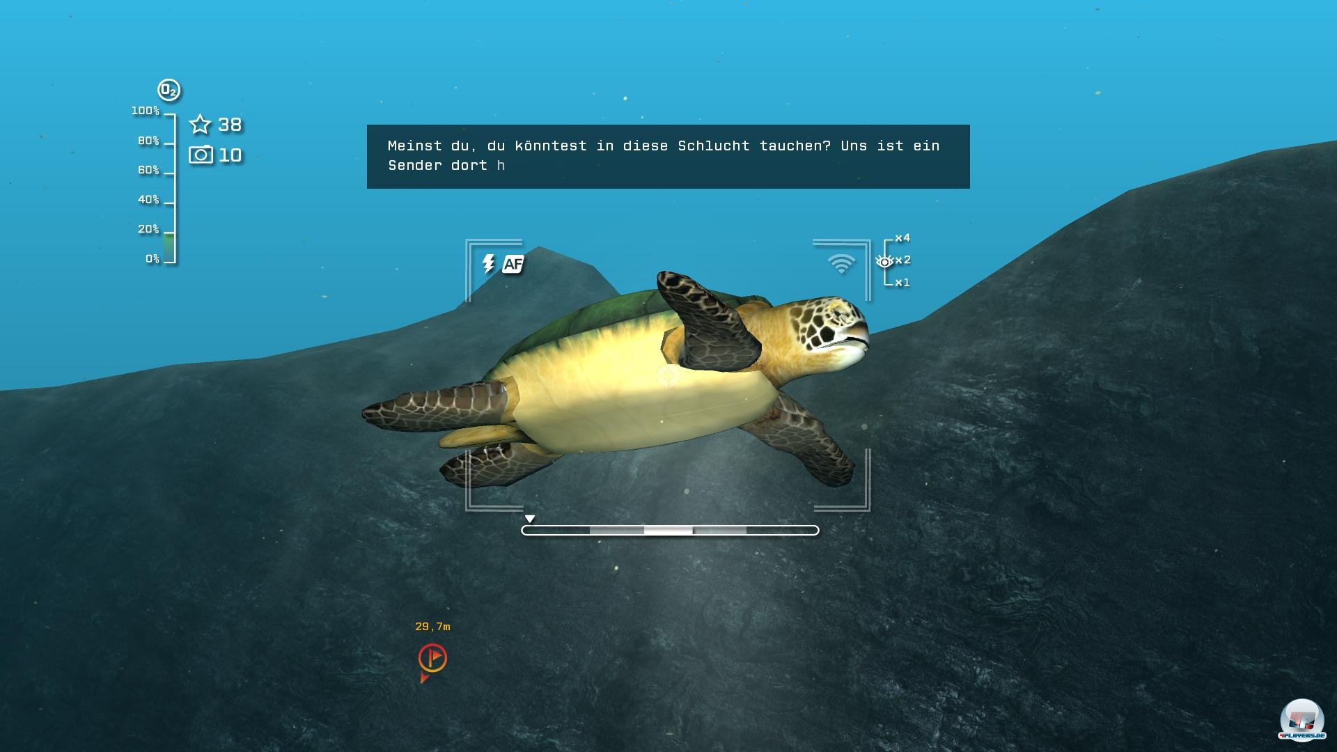 Auch Meeresschildkr&ouml;ten begegnet Scott auf seinen Tauchg&auml;ngen.