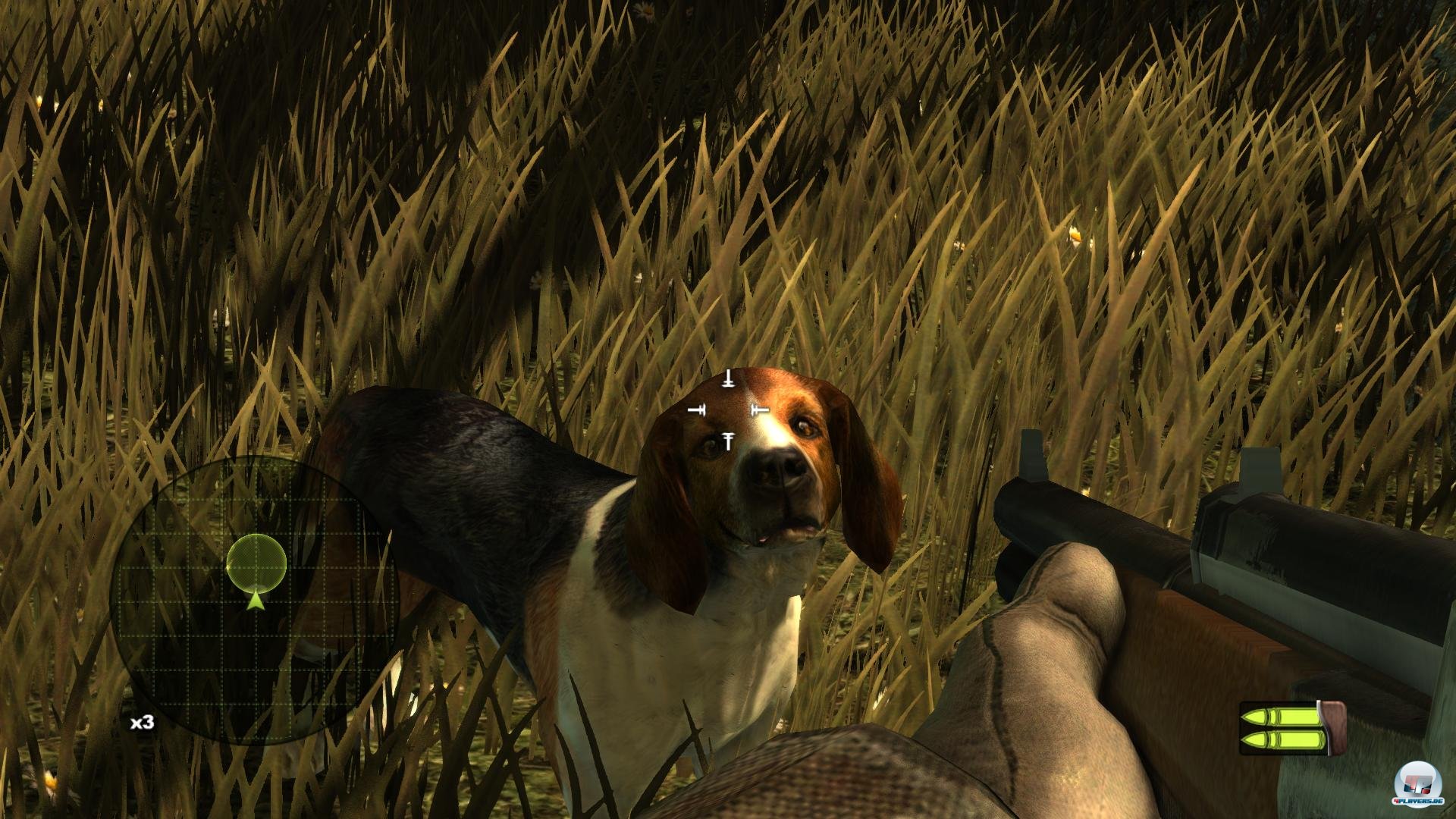 So richtig schlau sieht er nicht gerade aus, unser treuer Begleiter. Rechts im Bild: eines der unsäglichen Waffenmodelle. So richtig schlau sieht er nicht gerade aus, unser treuer Begleiter. Rechts im Bild: eines der unsäglichen Waffenmodelle.