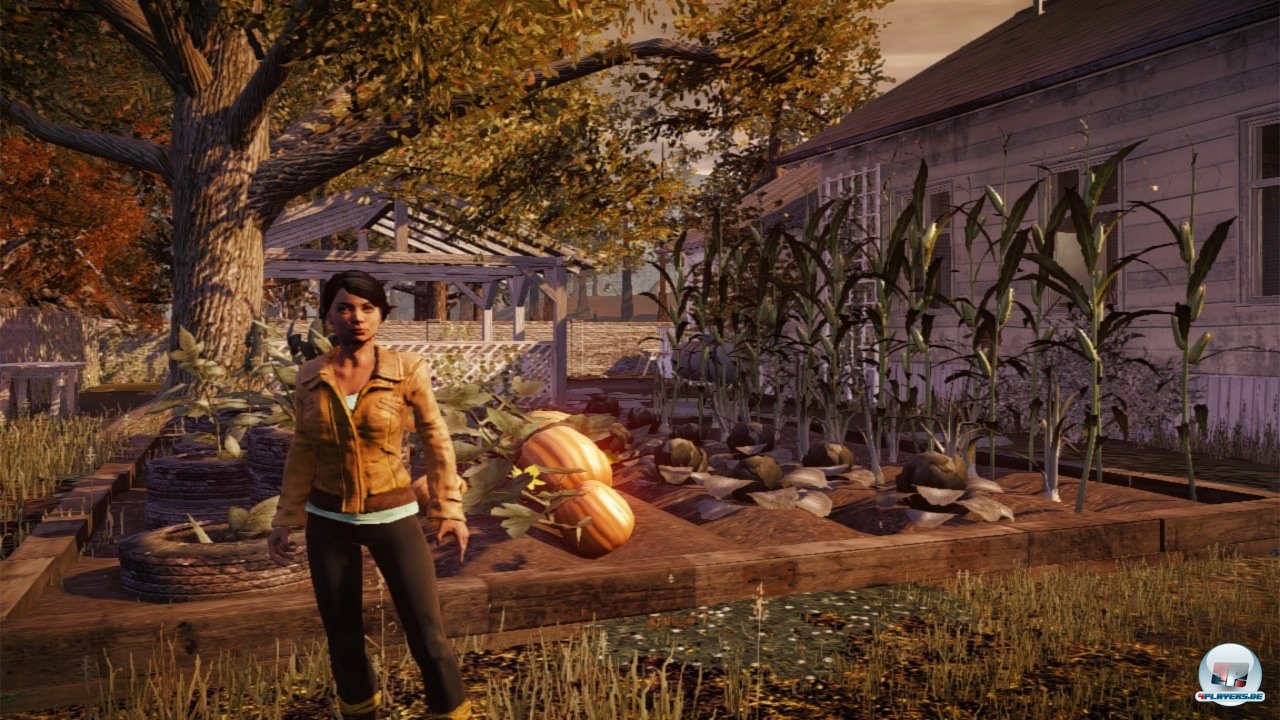 Je gr&ouml;&szlig;er die eigene Gruppe, um so mehr M&auml;uler hat man auch zu stopfen.