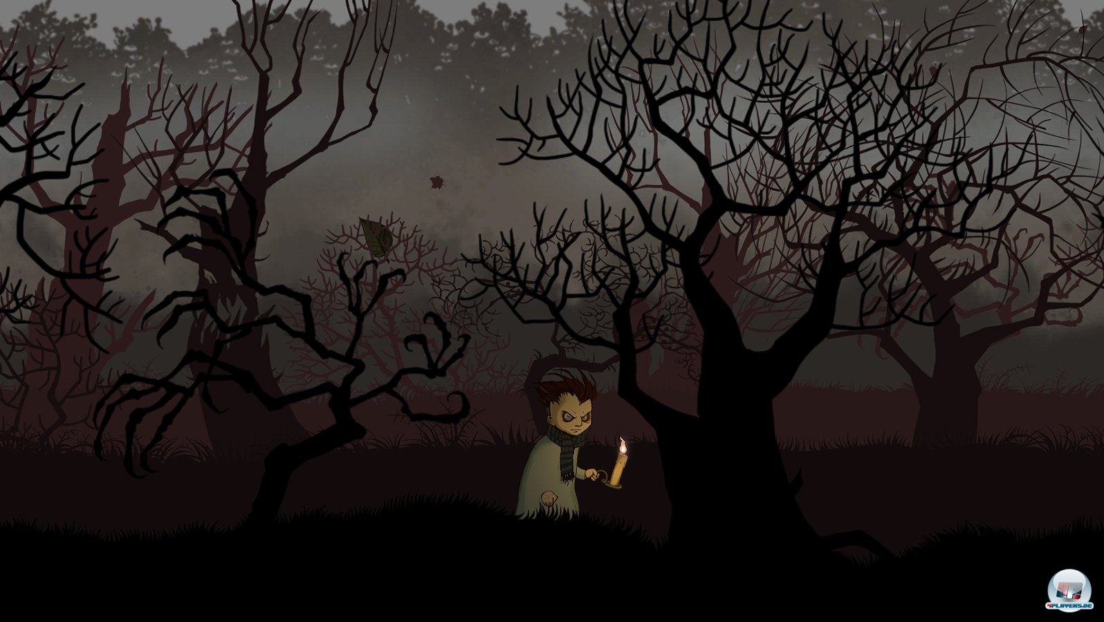 Der Wald jenseits der Haust&uuml;r scheint endlos.