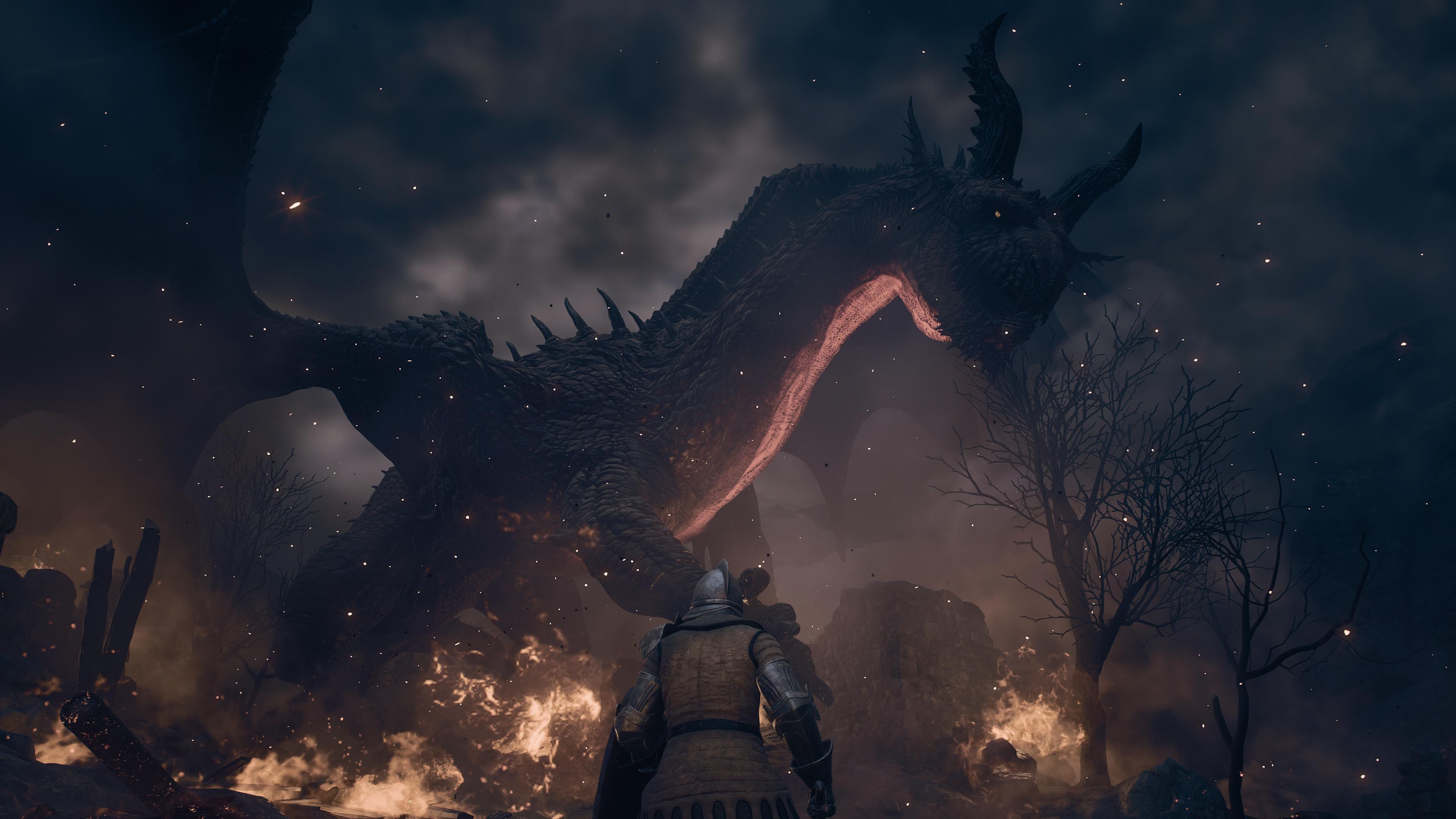 Der Drache macht euch ein Angebot, dass ihr aber auch getrost ablehnen k&ouml;nnt.