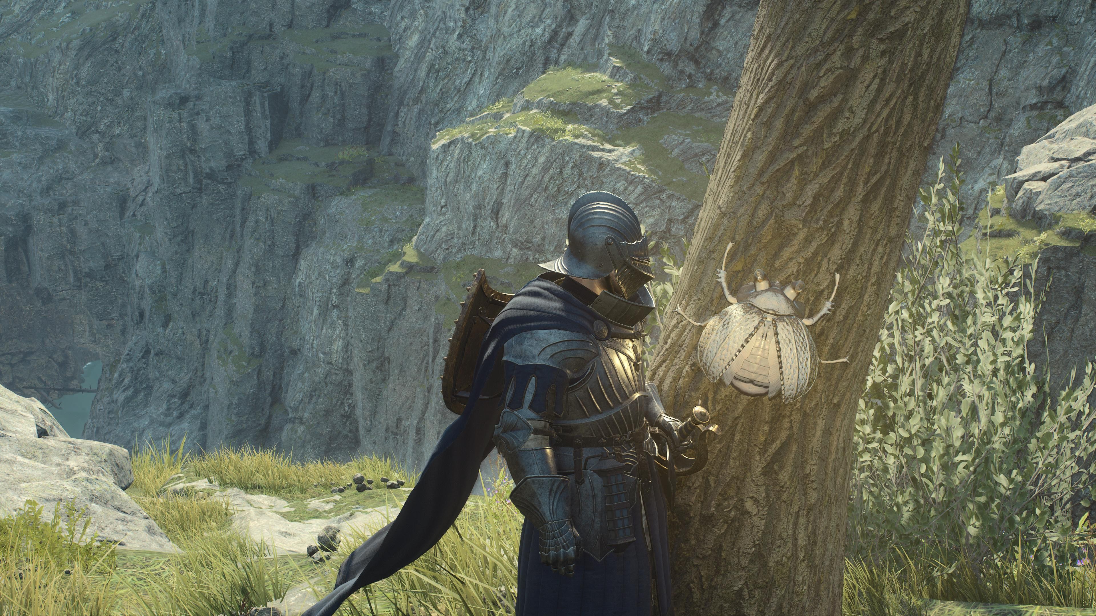 Goldk&auml;fer sind an ihrem Leuchten schon von Weitem gut zu erkennen. Sie gew&auml;hren euch eine h&ouml;here maximale Traglast.